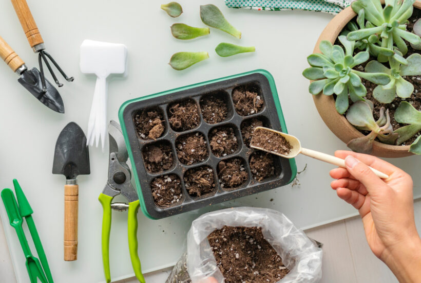 Seed Starting Indoors with Grow Lights