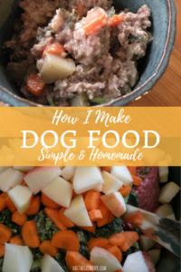 How to Make Delicious & Healthy Homemade Dog Food - Dig the Good Life