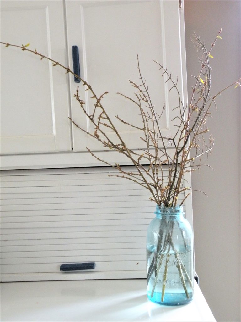 Clip some flowering branches in the late winter and bring inside for blooms in your home!