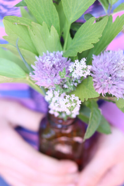 Ways to make spring come sooner, small brown bottle in child's hands containing herbs and chive blossoms