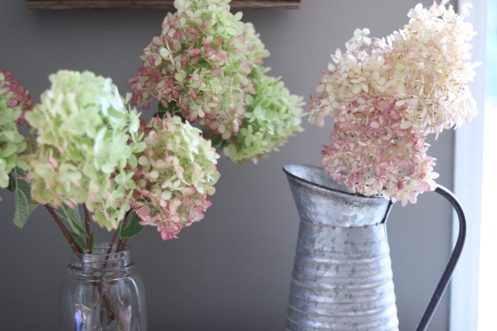 How to Dry and Preserver Hydrangea Flowers – Creative Living with Bren Haas