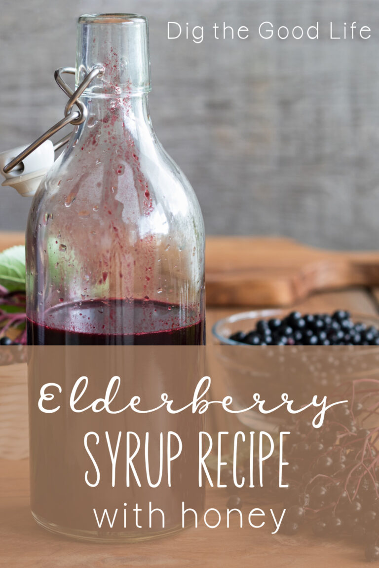 Elderberry Syrup Recipe with Honey - Dig the Good Life